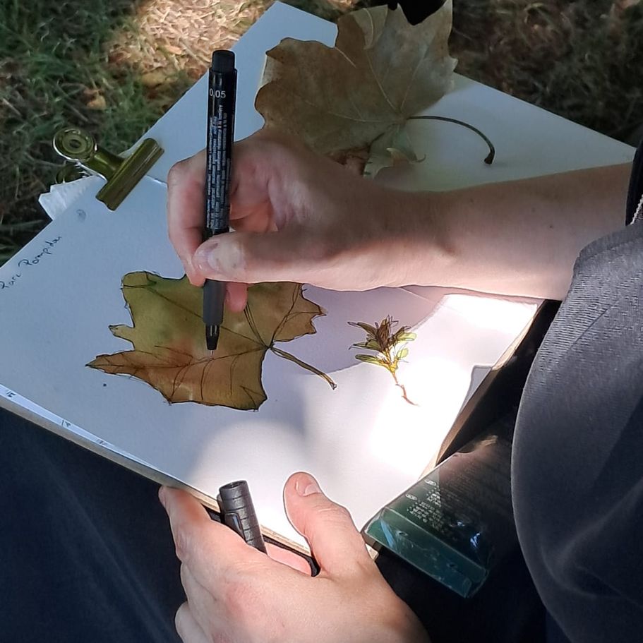 Main d’une élève dessinant une feuille au stylo sur une aquarelle lors d’un atelier créatif à Pessac